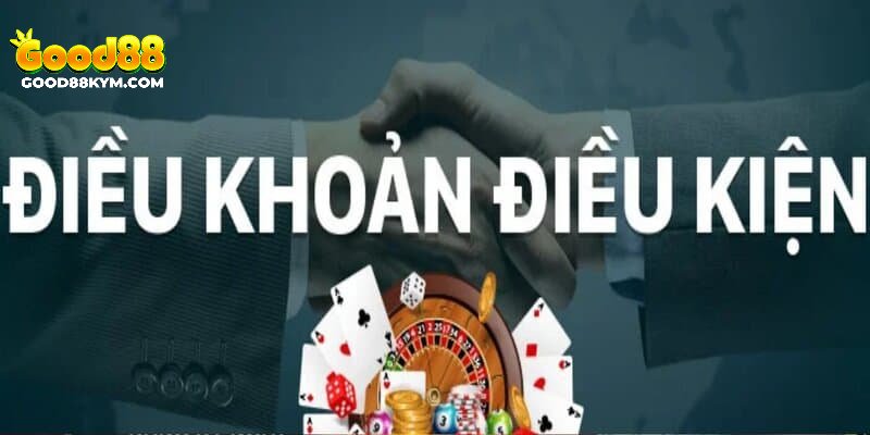 Giới thiệu về điều kiện và điều khoản 