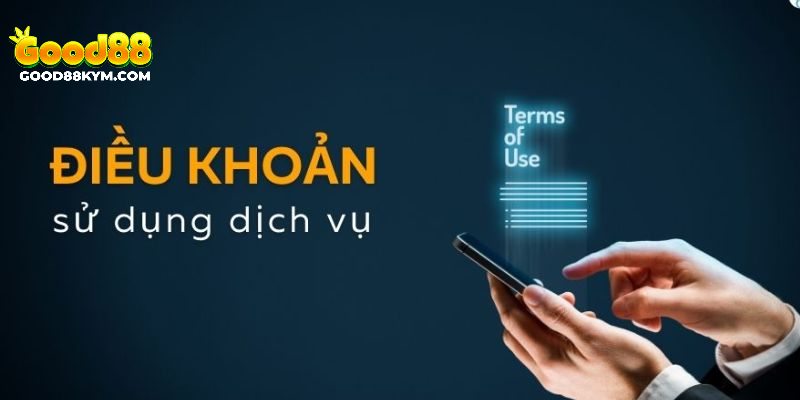 Nội dung trong điều kiện và điều khoản 